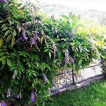L'Antico Frantoio Villa Рапало Екстериор снимка