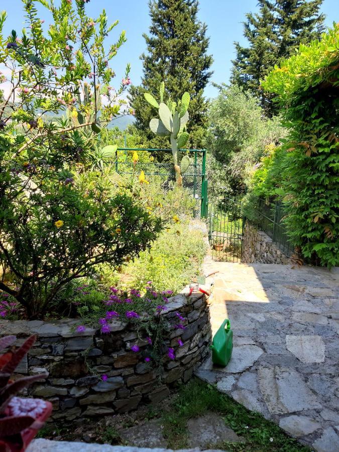 L'Antico Frantoio Villa Рапало Екстериор снимка