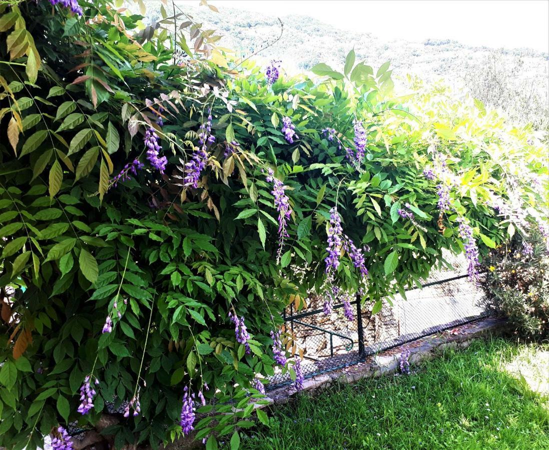 L'Antico Frantoio Villa Рапало Екстериор снимка